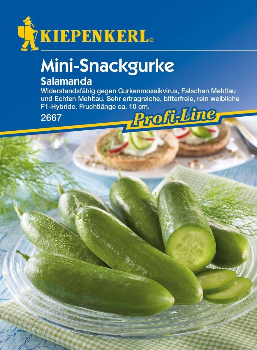 Salamanda (Mini-Snackgurke)